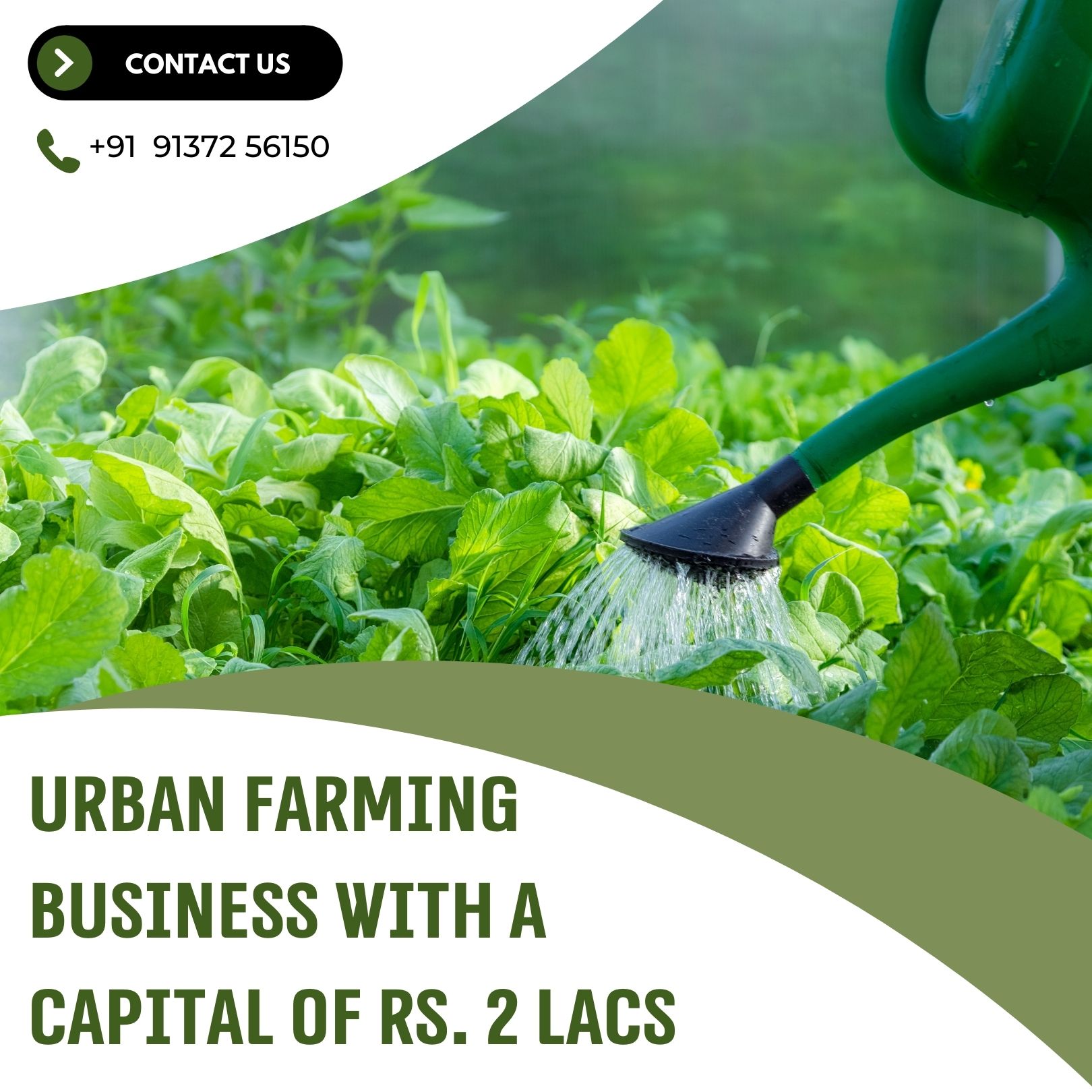 Urban Farming Business with a Capital of Rs. 2 Lacs with Marketing Consultant in Mumbai